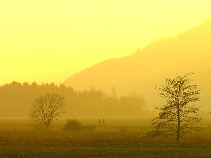 Ruhige Landschaft im goldenen Licht als Sinnbild für die Bewusstseinsstufe des Seins